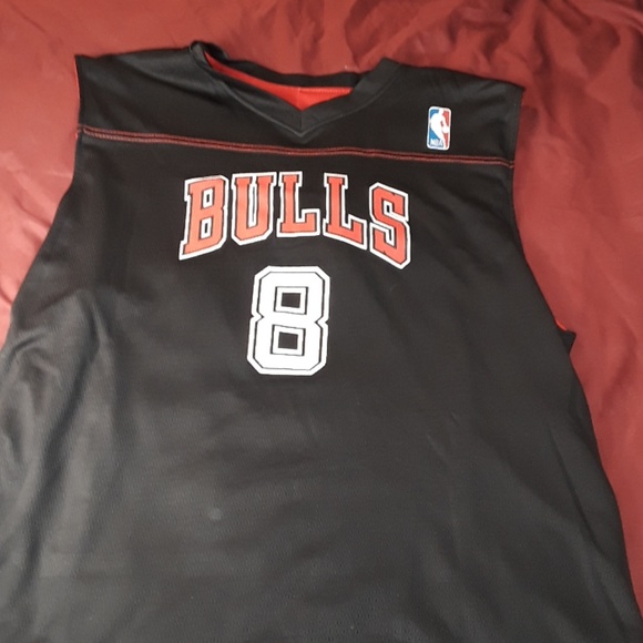 Chicago Bulls NBA Reversible #8 Jersey Sz. L - Picture 1 of 8